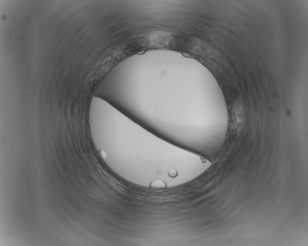 X0000068830522200605050921