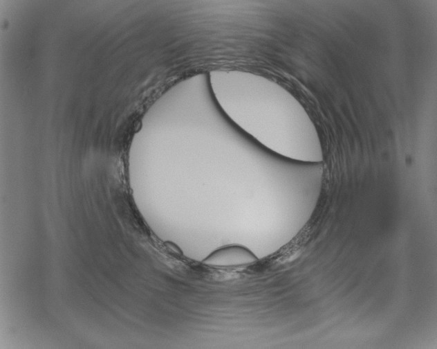 X0000068830523200605050921