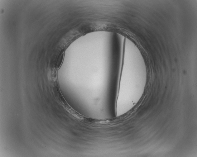 X0000068830525200605050921