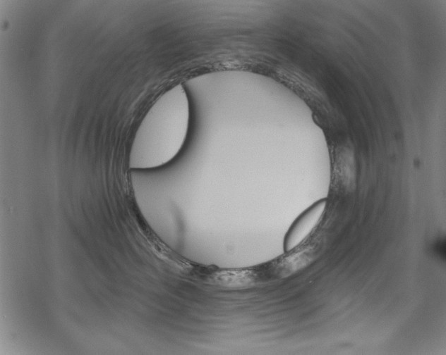 X0000068830526200605050921