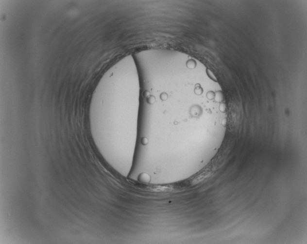 X0000068830527200605050921