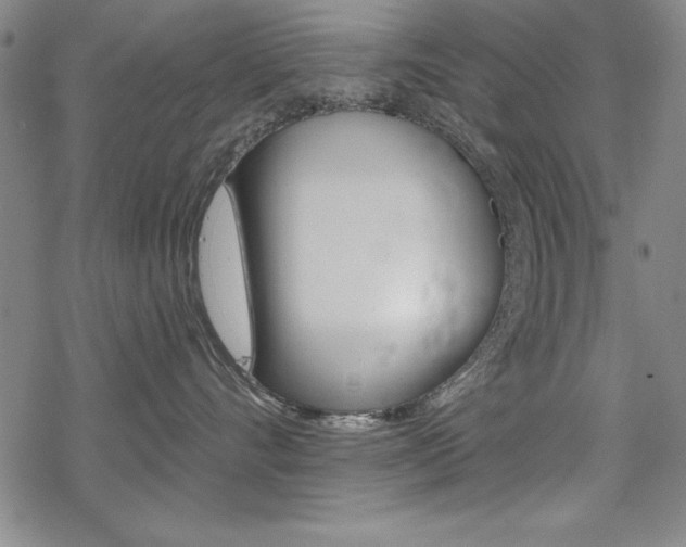 X0000068830528200605050921