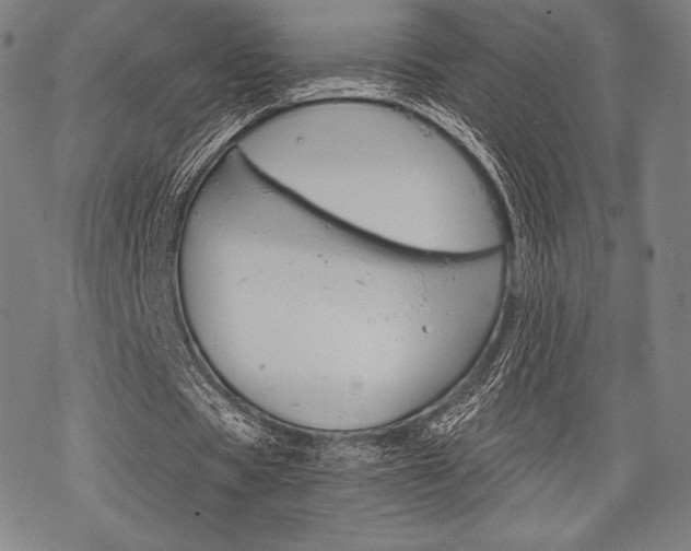 X0000068830529200605050920