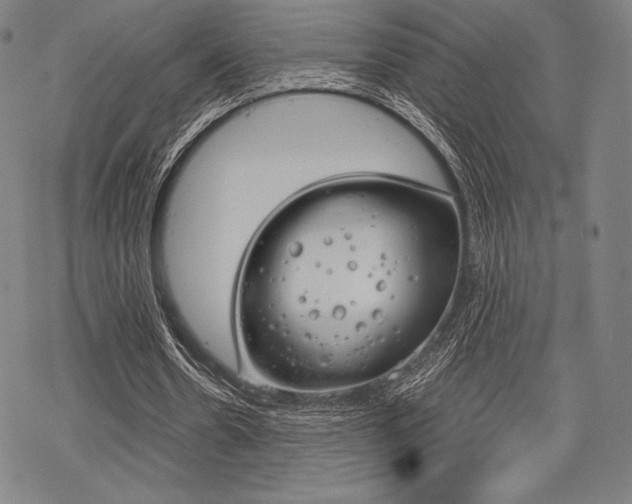 X0000068830530200605050920