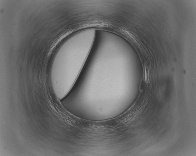 X0000068830531200605050920