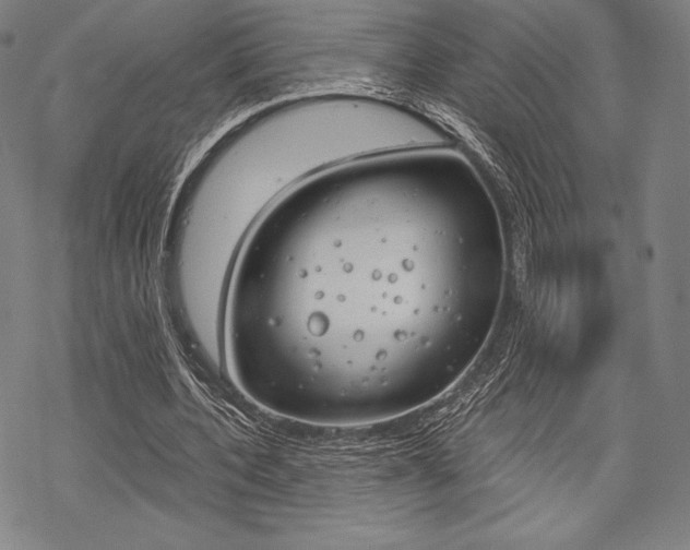 X0000068830532200605050920