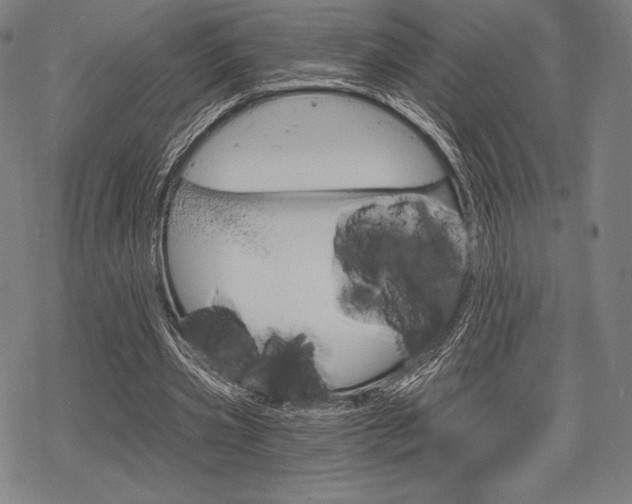 X0000068830533200605050920