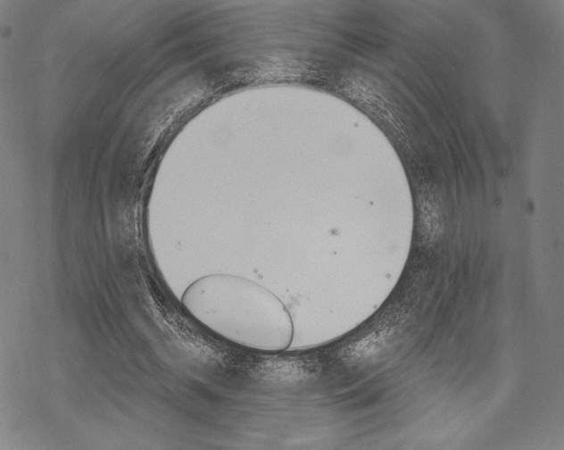 X0000068830534200605050920