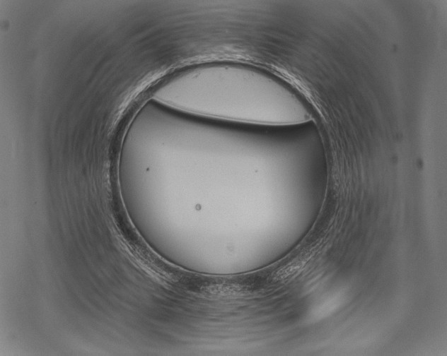 X0000068830535200605050920