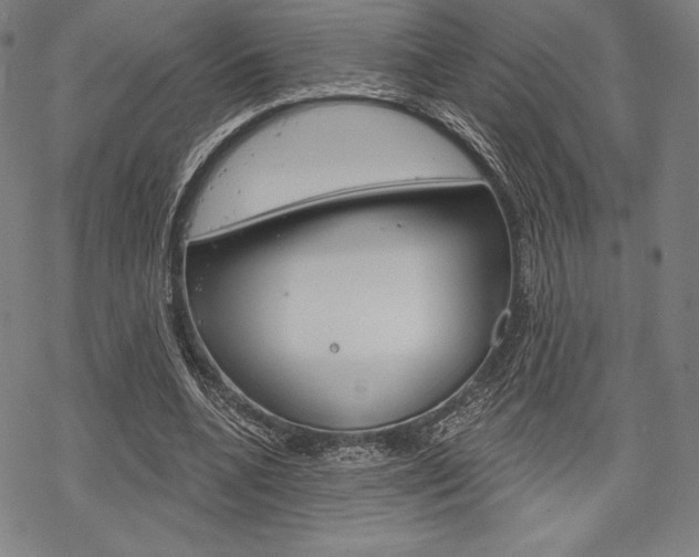 X0000068830536200605050920