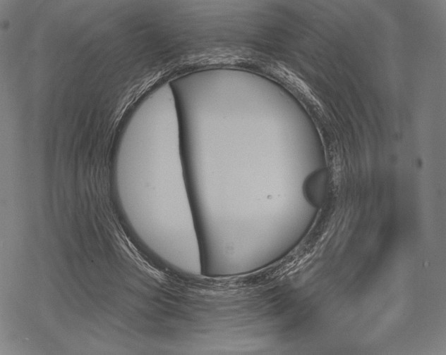 X0000068830537200605050920