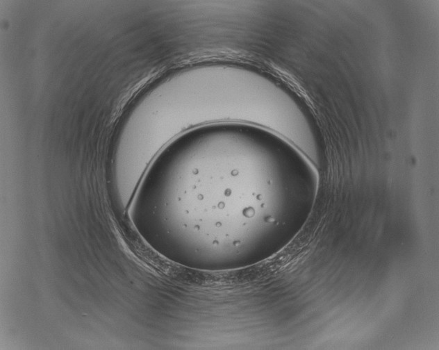 X0000068830538200605050920