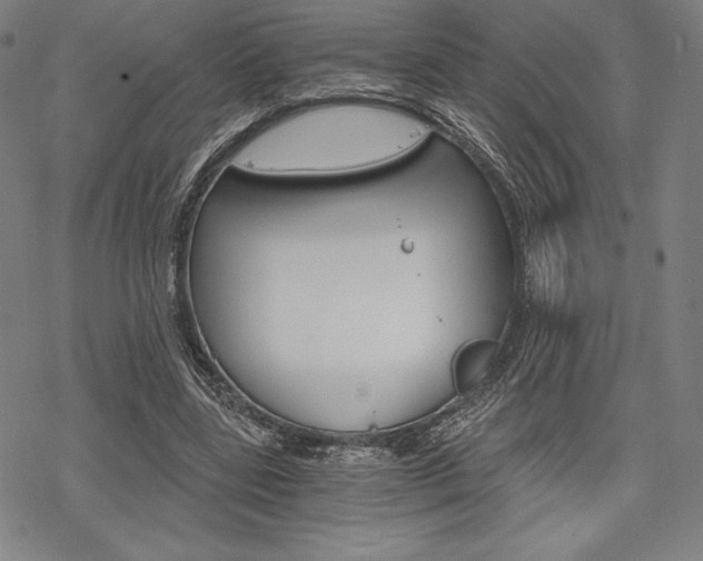 X0000068830539200605050921