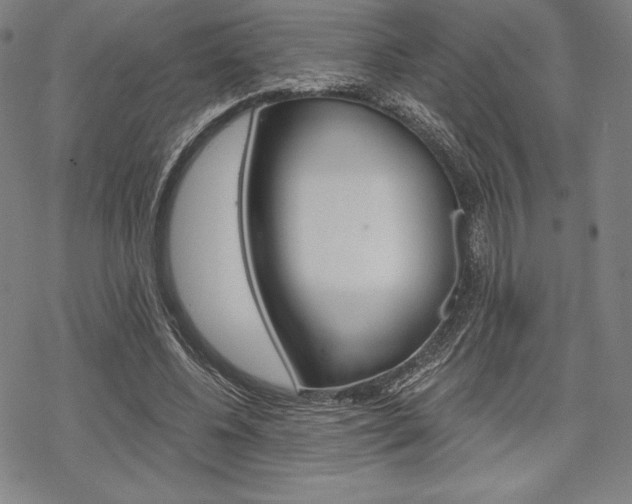 X0000068830540200605050921