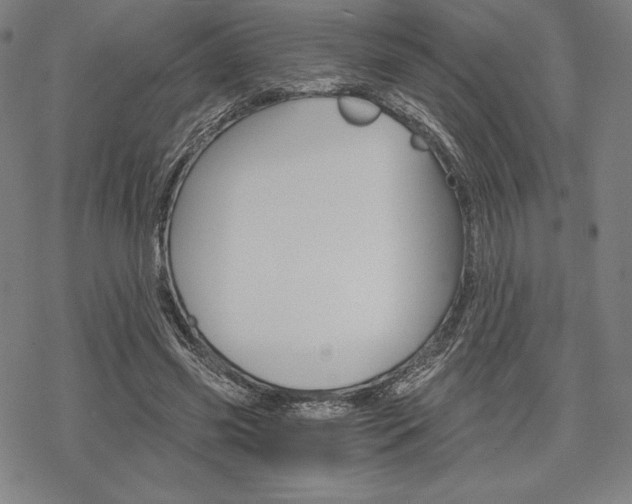 X0000068830541200605050921