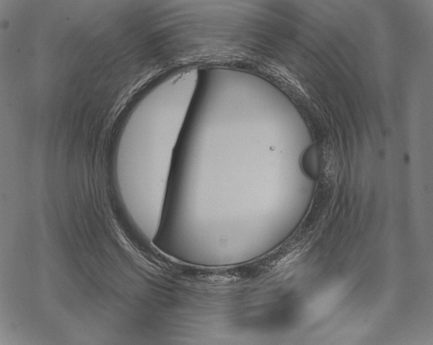 X0000068830542200605050921