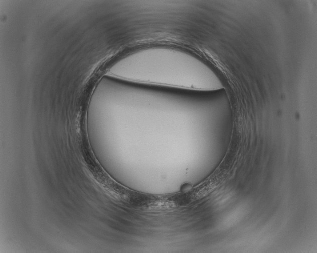 X0000068830543200605050921