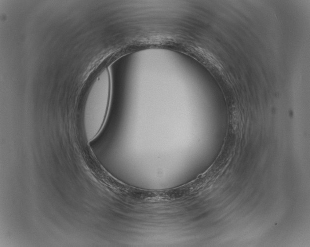 X0000068830544200605050921