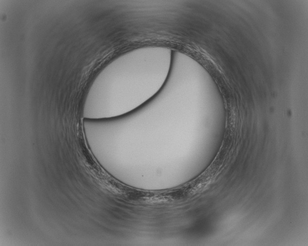 X0000068830545200605050921