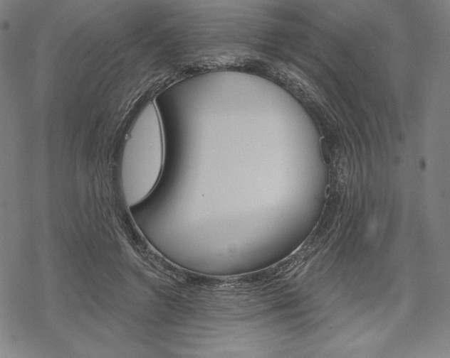 X0000068830546200605050921