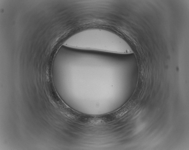 X0000068830547200605050921