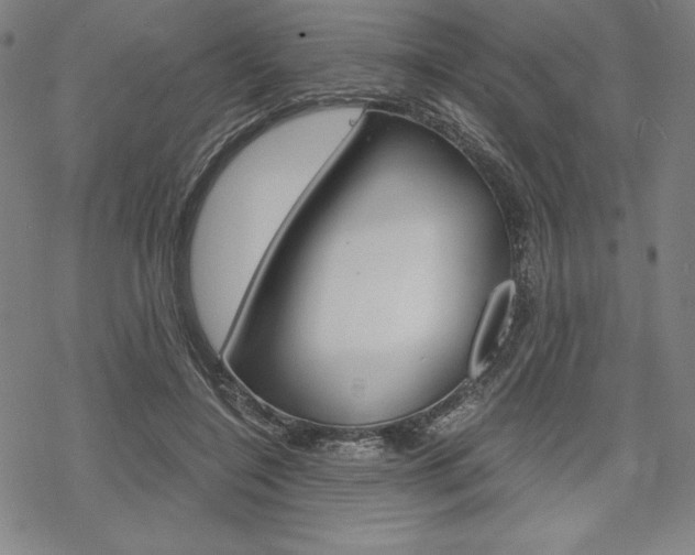 X0000068830548200605050921