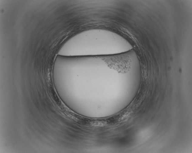 X0000068830549200605050921