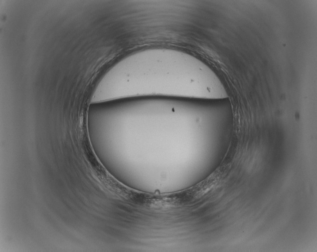 X0000068830550200605050921