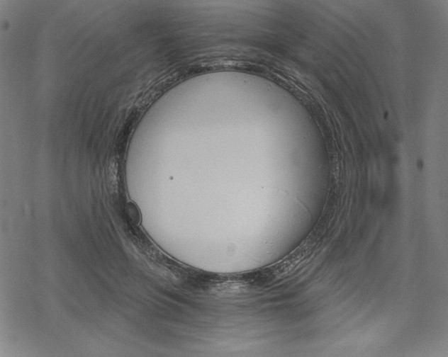 X0000068830551200605050921