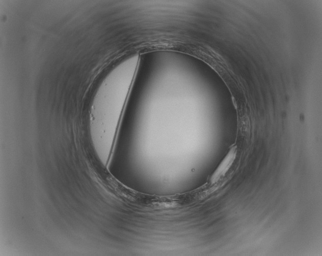 X0000068830552200605050921