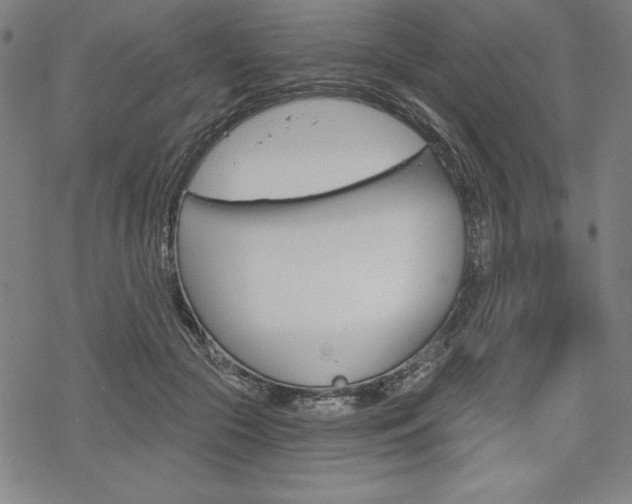 X0000068830553200605050921