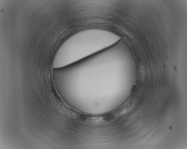 X0000068830554200605050921