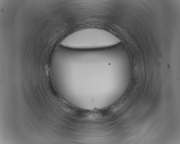 X0000068830555200605050921