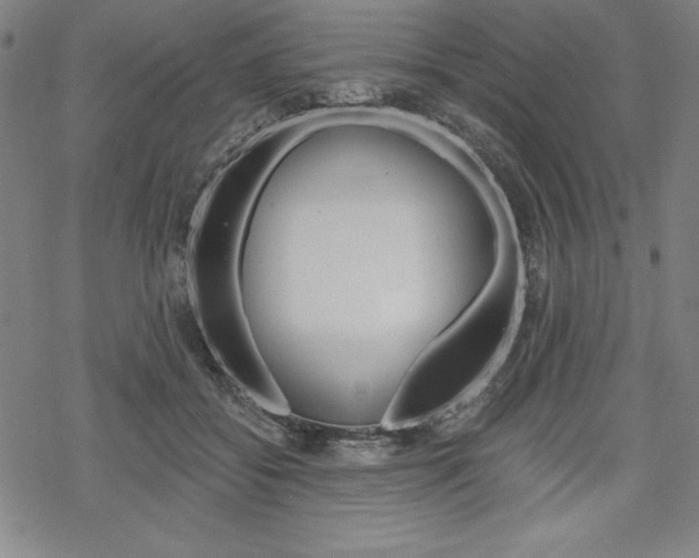 X0000068830556200605050921