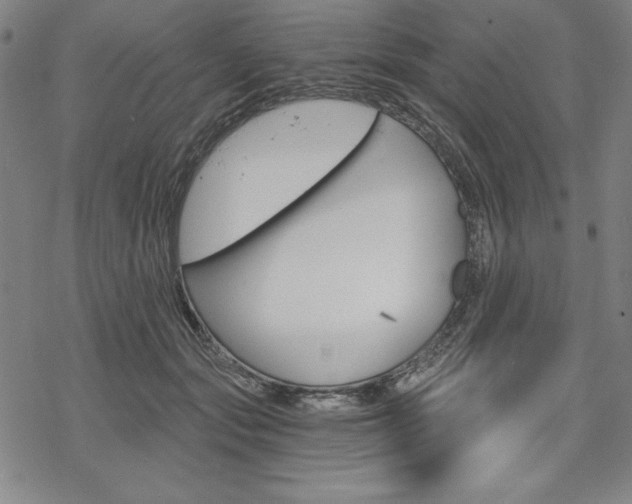 X0000068830557200605050921