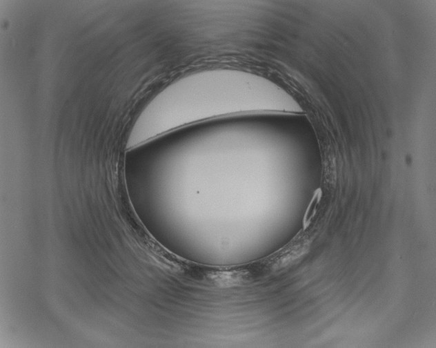 X0000068830558200605050921