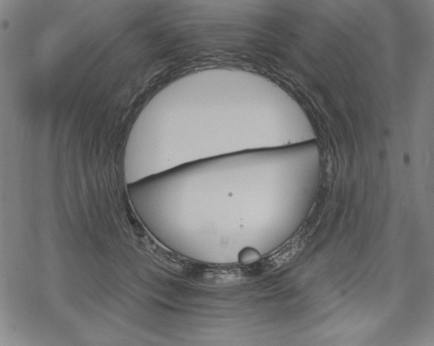 X0000068830559200605050921