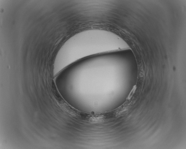 X0000068830560200605050921