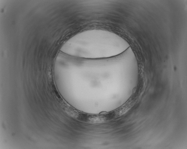 X0000068830561200605050921