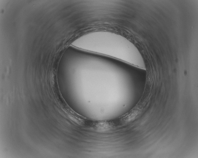 X0000068830562200605050921