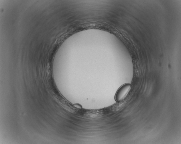 X0000068830563200605050921