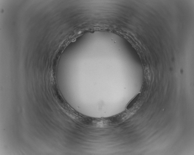 X0000068830564200605050921