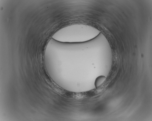 X0000068830565200605050921