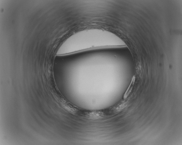 X0000068830566200605050921