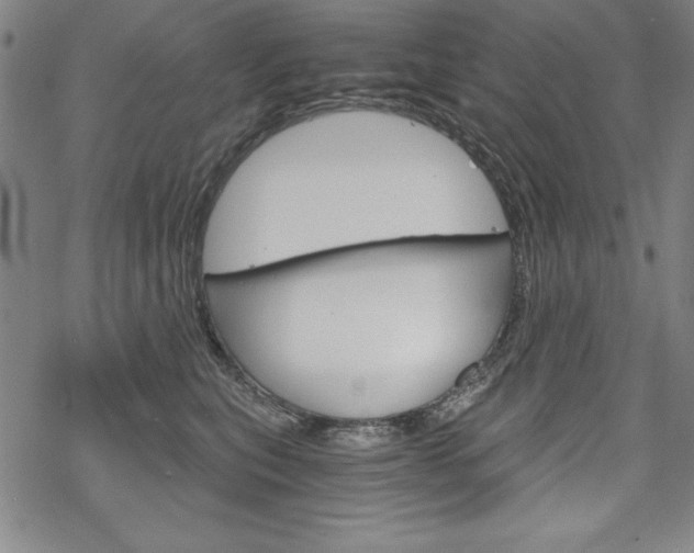 X0000068830567200605050921