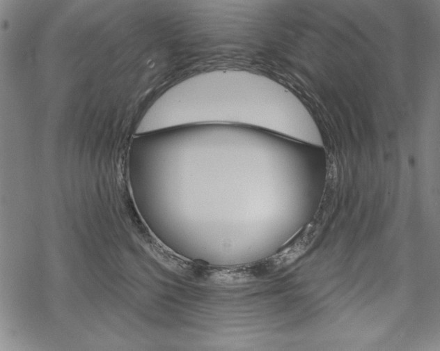 X0000068830568200605050921