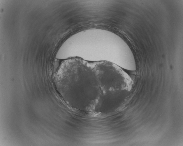 X0000068830569200605050921