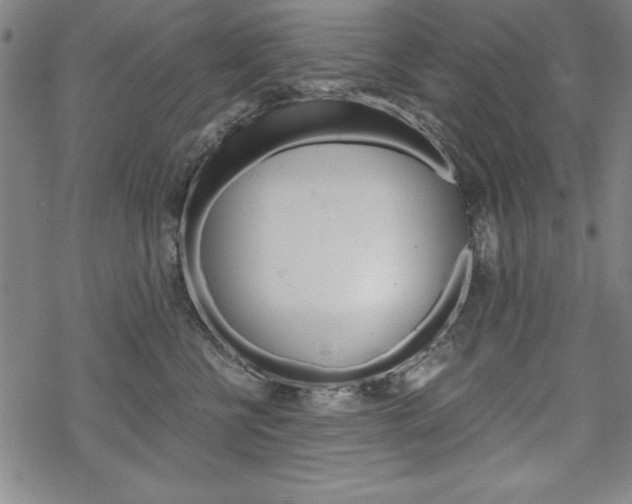 X0000068830570200605050921