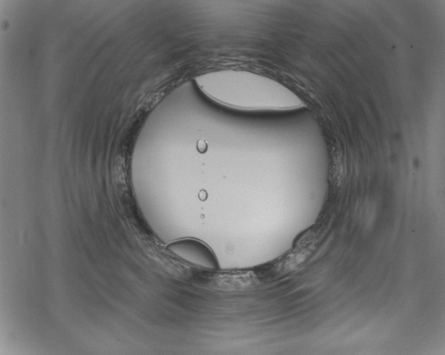 X0000068830571200605050921