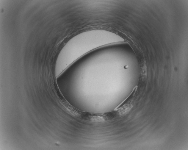 X0000068830572200605050921